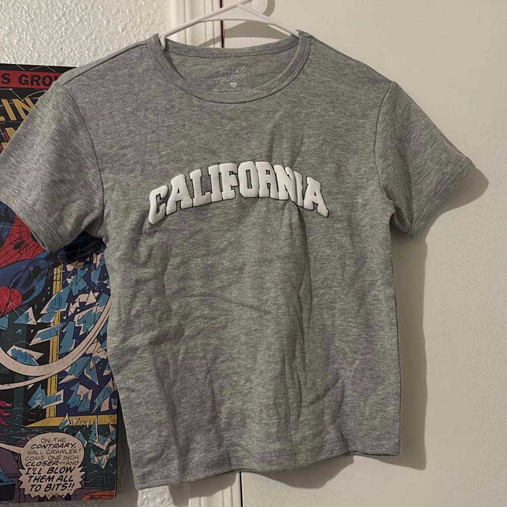 Gray California crop top